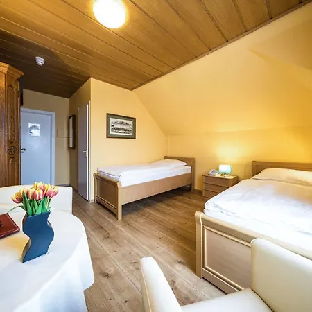 Отель Parkhotel Pyrmont